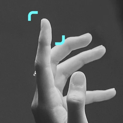 Software de reconocimiento biométrico de la palma de la mano 2