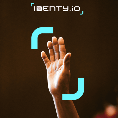 Palm Biometric Software